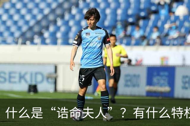 什么是“诰命夫人”？有什么特权和好处